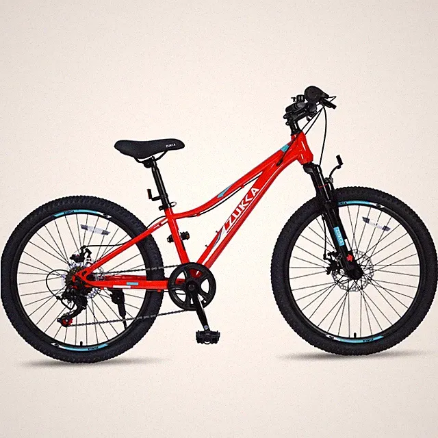 24" 6-Speed Mountain Bike with Steel Frame & Disc Brakes for Kids Boys & Girls