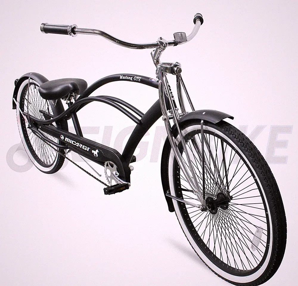 2021 Cruiser