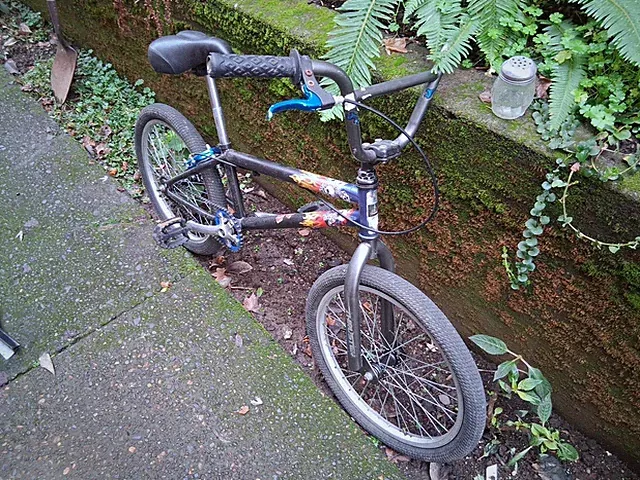 BMX Bicycle Verde 20 Inch Bike Freestyle Bike
