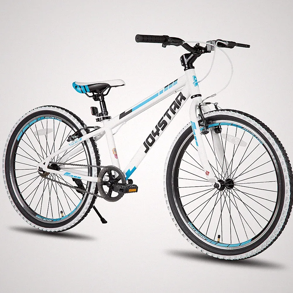 bicycle 24 inch boys