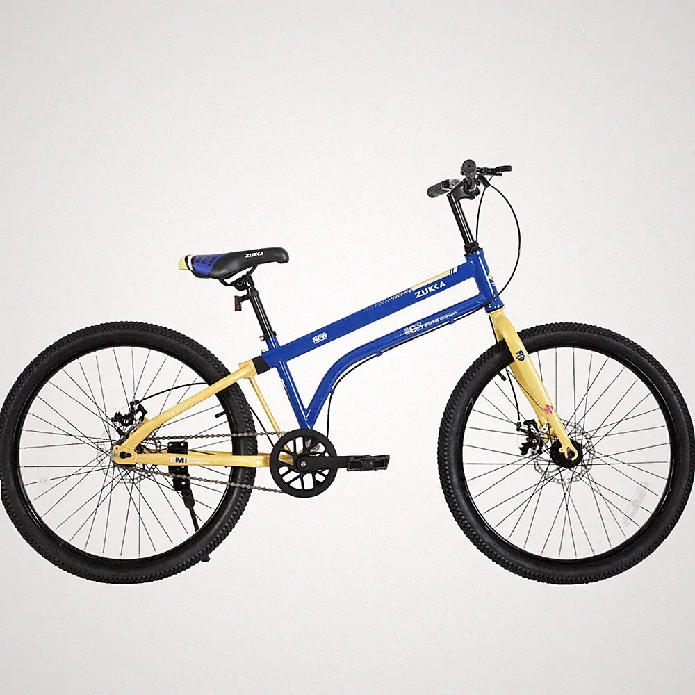 MEGHNA 24"Kids Bicycle for Boys Girls 10+, Single Speed with Dual Disc Brakes BL