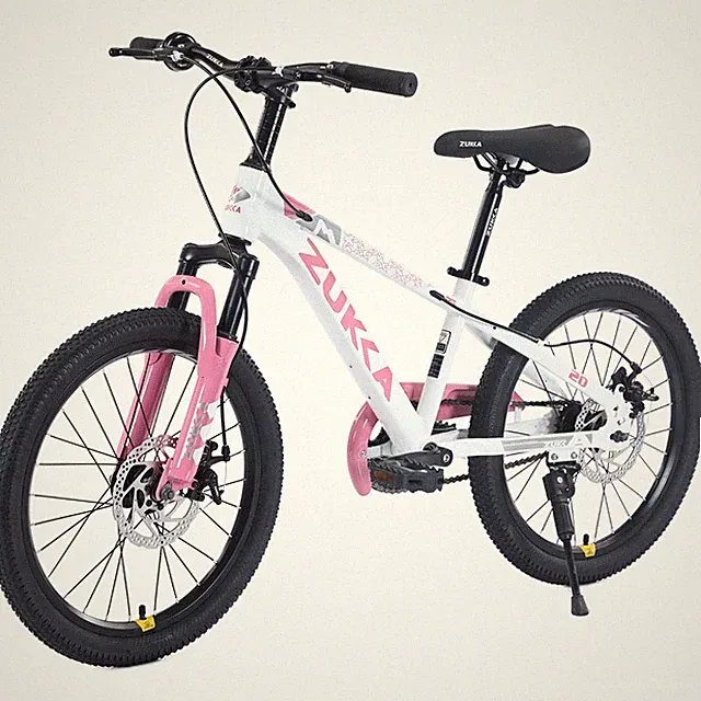 ZUKKA 20 Inch Kids Mountain Bike, Double Disc Brake, for Boys Girls Age 7-10
